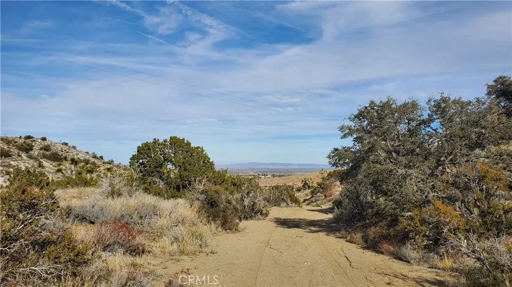 Vicinity Ross Road E Juniper Hills, CA 93543