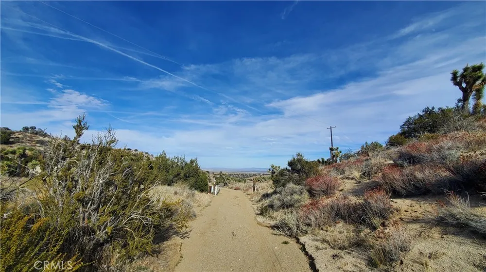 Vicinity Ross Road E Juniper Hills, CA 93543