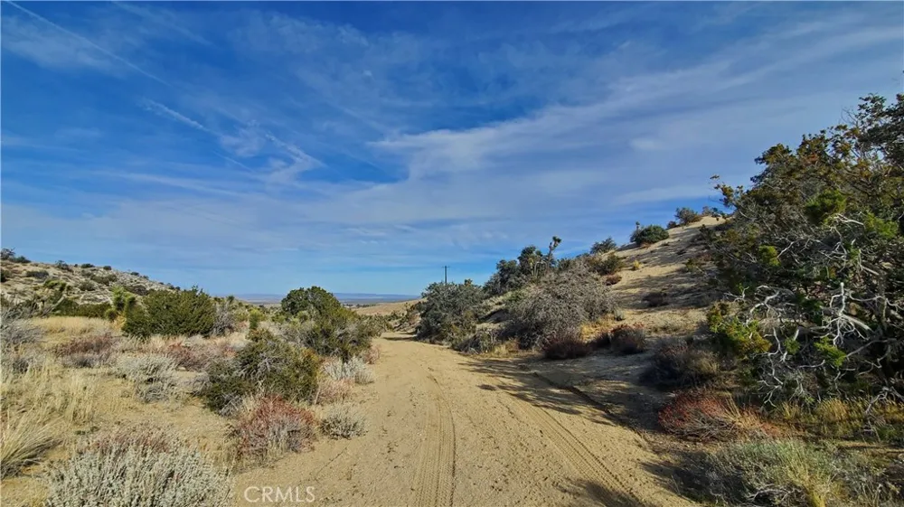 Vicinity Ross Road E Juniper Hills, CA 93543
