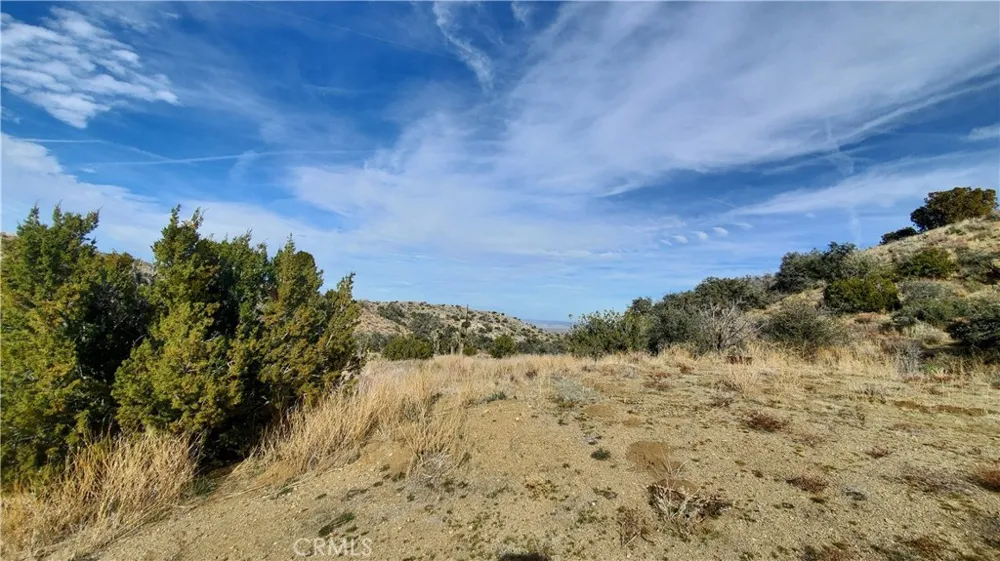 Vicinity Ross Road E Juniper Hills, CA 93543
