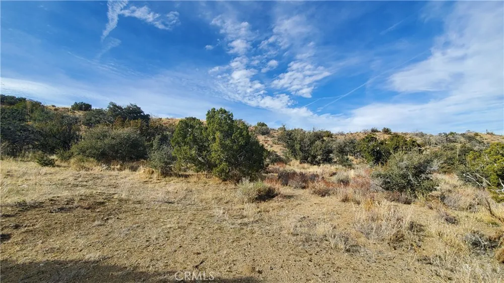 Vicinity Ross Road E Juniper Hills, CA 93543