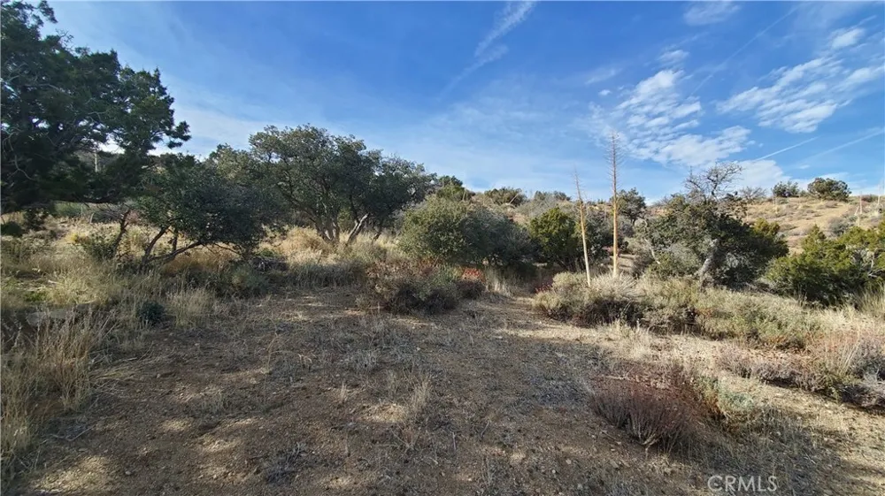 Vicinity Ross Road E Juniper Hills, CA 93543