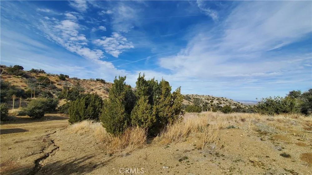 Vicinity Ross Road E Juniper Hills, CA 93543