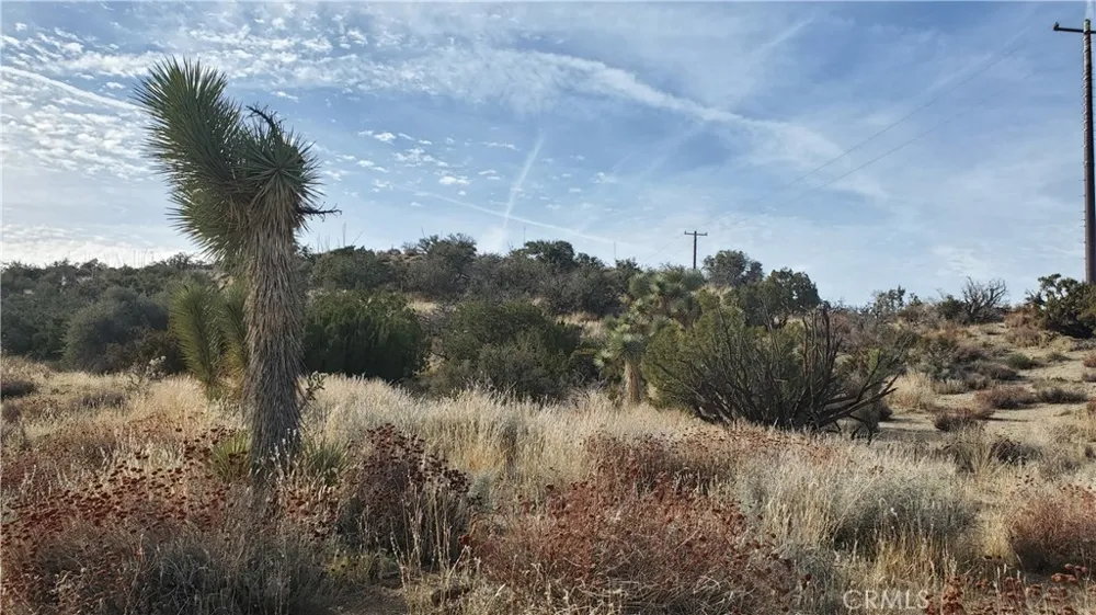 Vicinity Ross Road E Juniper Hills, CA 93543