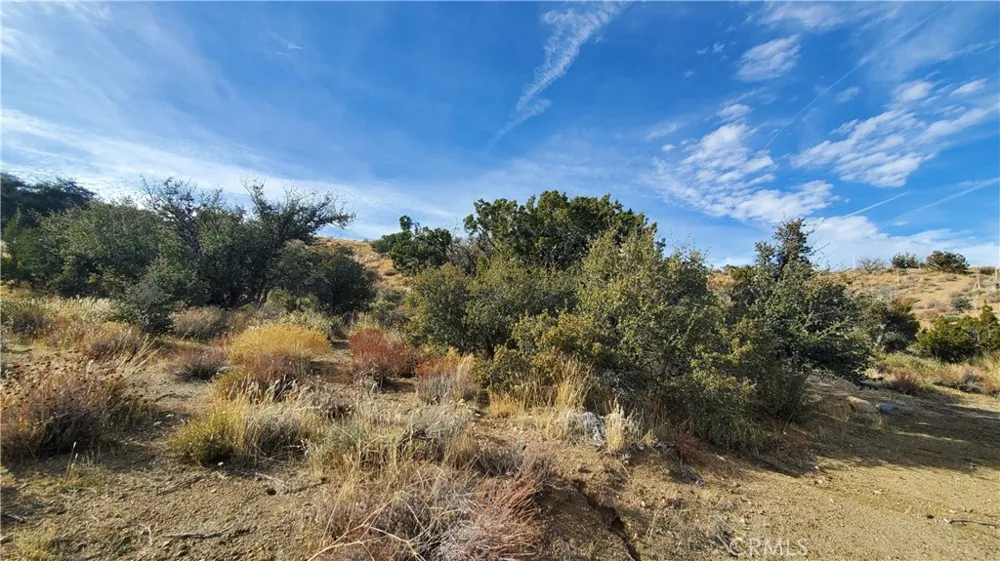Vicinity Ross Road E Juniper Hills, CA 93543
