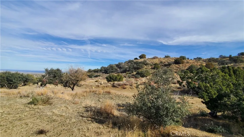 Vicinity Ross Road E Juniper Hills, CA 93543
