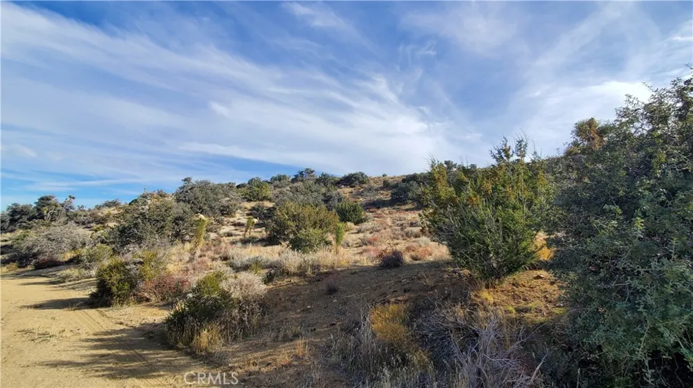 Vicinity Ross Road E Juniper Hills, CA 93543