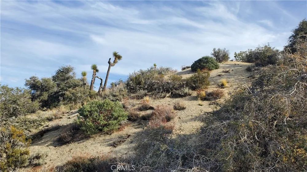 Vicinity Ross Road E Juniper Hills, CA 93543