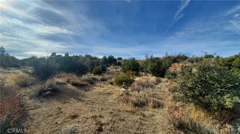Vicinity Ross Road E Juniper Hills, CA 93543