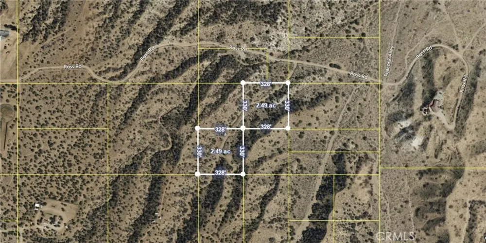 Vicinity Ross Road E Juniper Hills, CA 93543