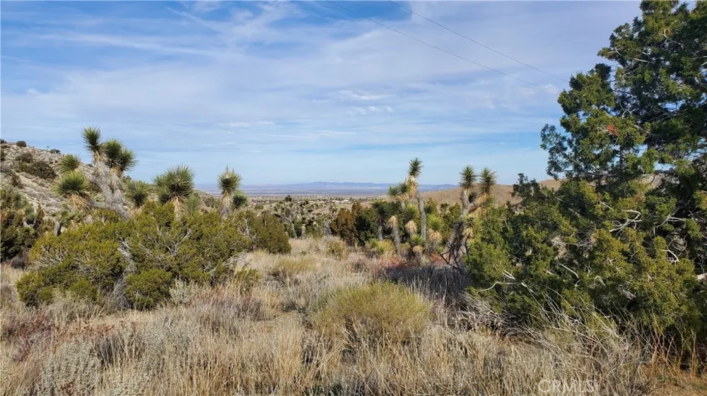 Vicinity Ross Road E Juniper Hills, CA 93543
