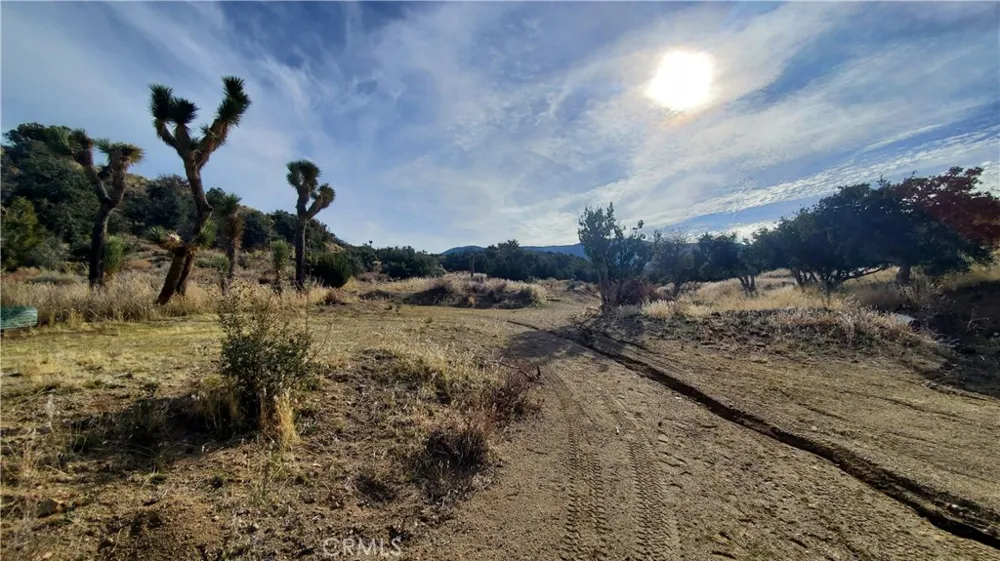 Vicinity Ross Road E Juniper Hills, CA 93543