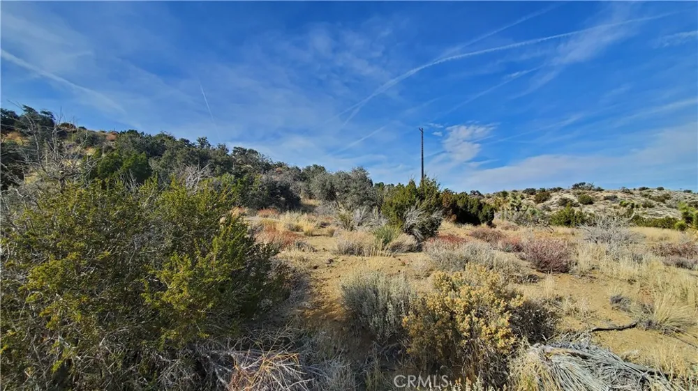 Vicinity Ross Road E Juniper Hills, CA 93543