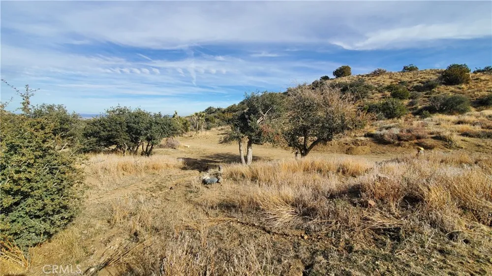 Vicinity Ross Road E Juniper Hills, CA 93543