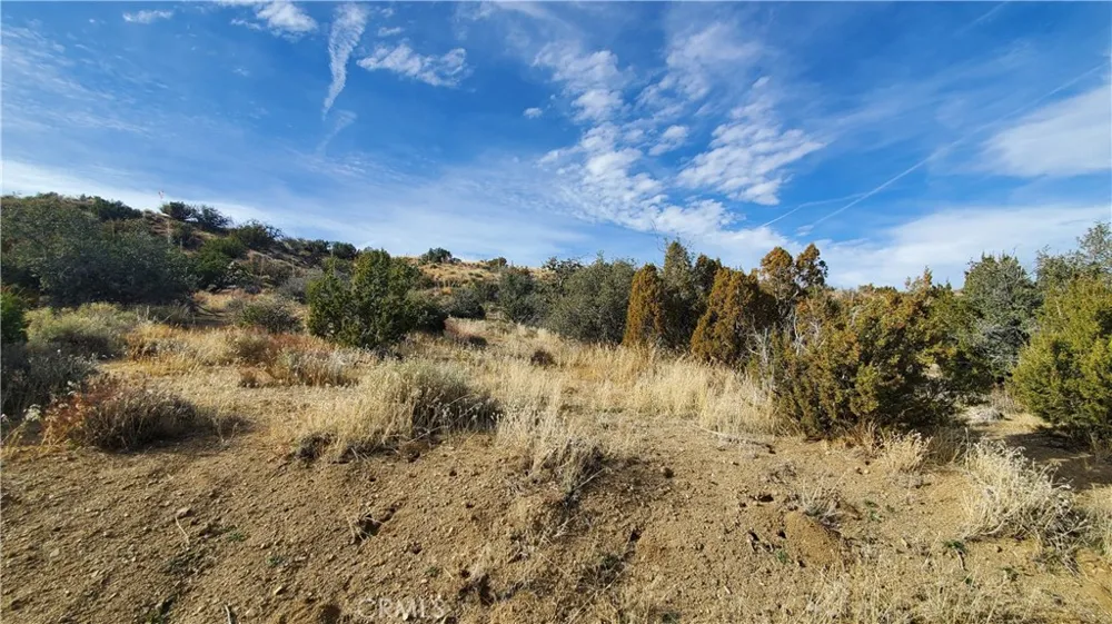Vicinity Ross Road E Juniper Hills, CA 93543