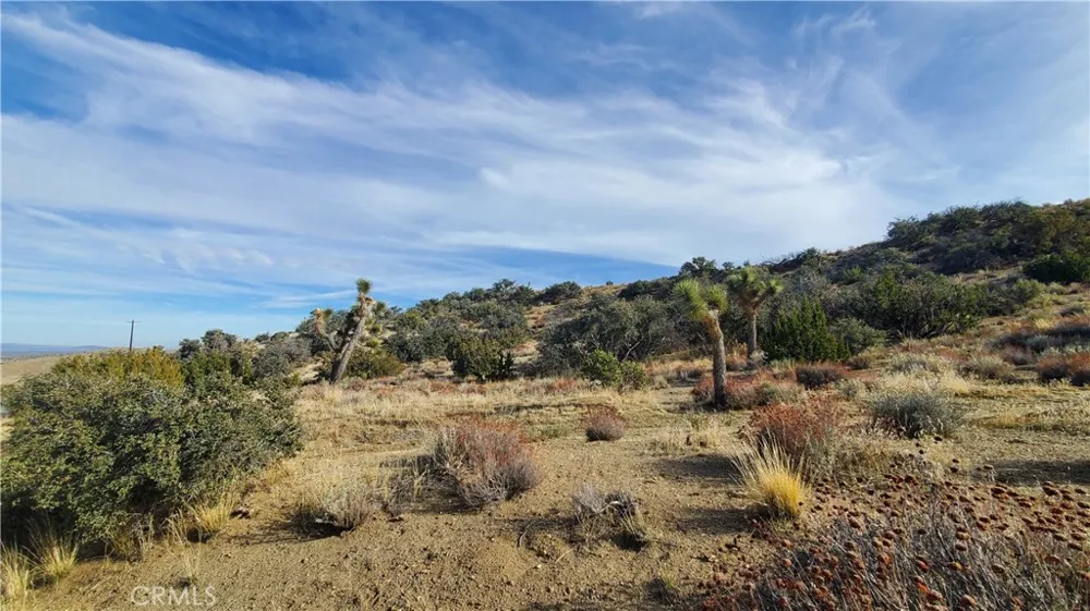 Vicinity Ross Road E Juniper Hills, CA 93543