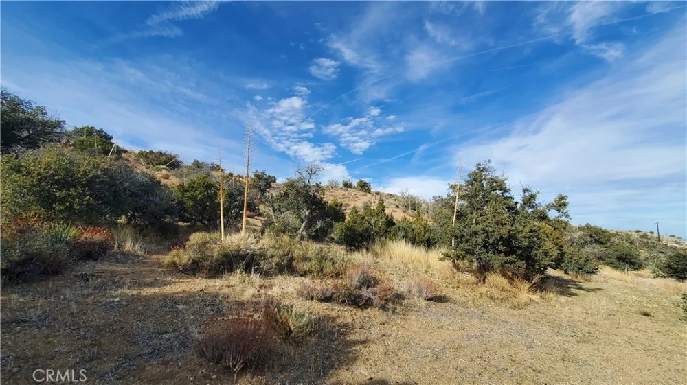 Vicinity Ross Road E Juniper Hills, CA 93543