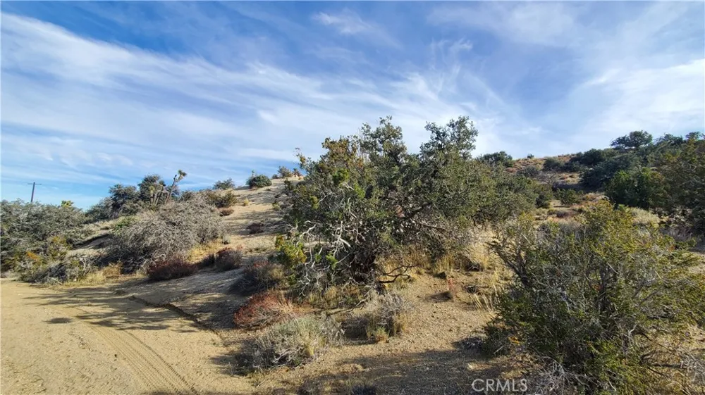 Vicinity Ross Road E Juniper Hills, CA 93543