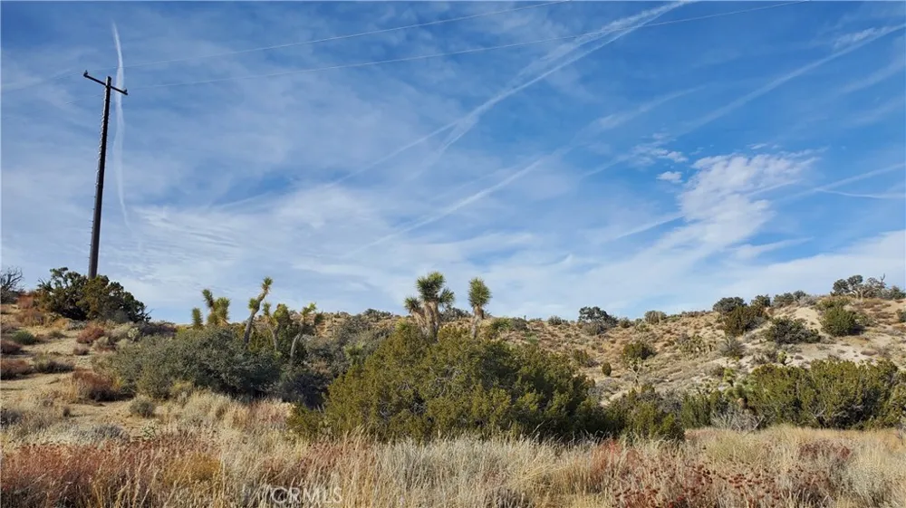 Vicinity Ross Road E Juniper Hills, CA 93543