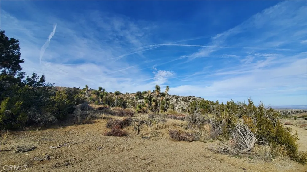 Vicinity Ross Road E Juniper Hills, CA 93543