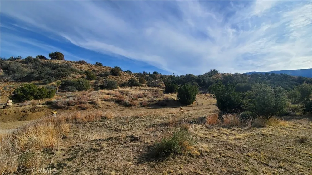 Vicinity Ross Road E Juniper Hills, CA 93543