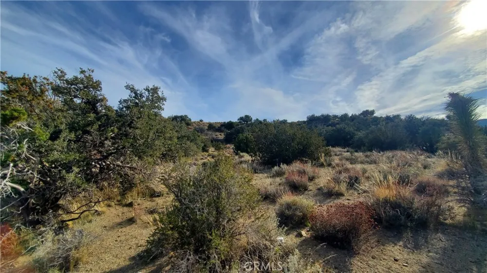 Vicinity Ross Road E Juniper Hills, CA 93543