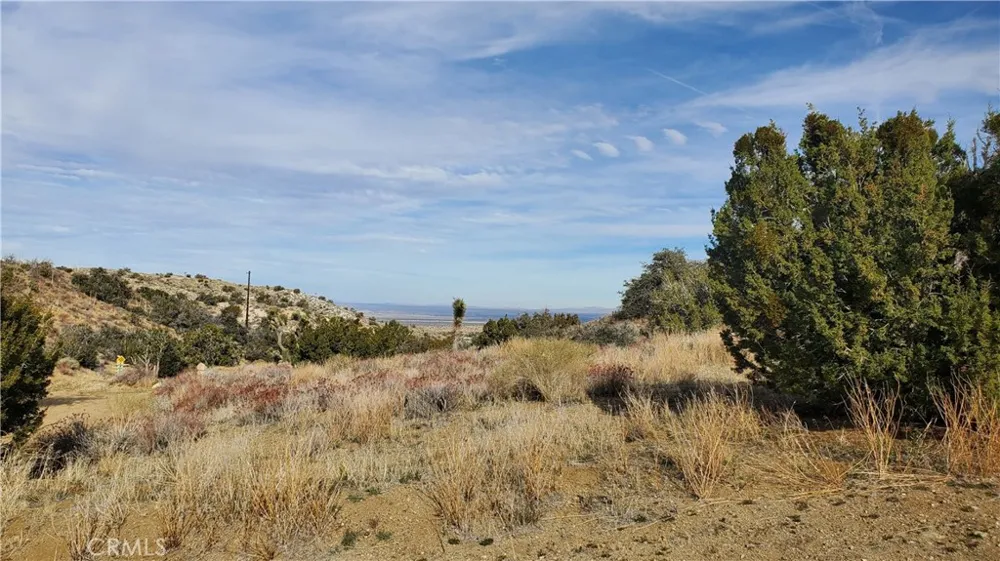 Vicinity Ross Road E Juniper Hills, CA 93543