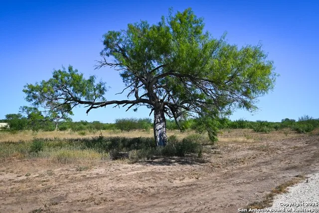 LOT 24 County Road 2500 Bigfoot, TX 78005