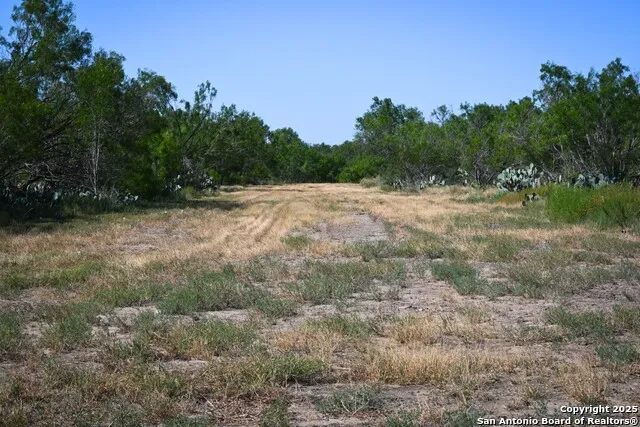 LOT 24 County Road 2500 Bigfoot, TX 78005