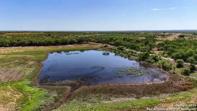 LOT 24 County Road 2500 Bigfoot, TX 78005