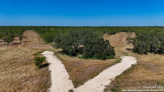LOT 24 County Road 2500 Bigfoot, TX 78005