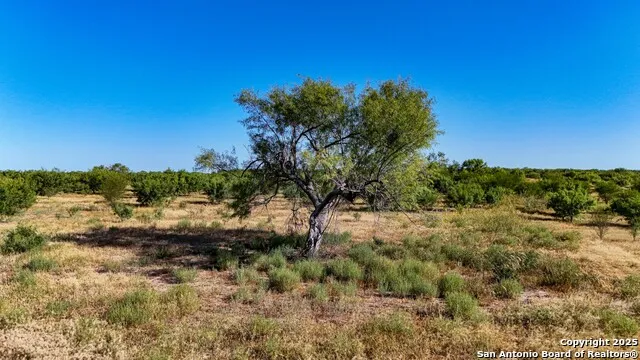 LOT 24 County Road 2500 Bigfoot, TX 78005