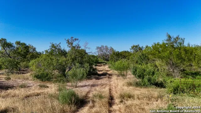 LOT 24 County Road 2500 Bigfoot, TX 78005