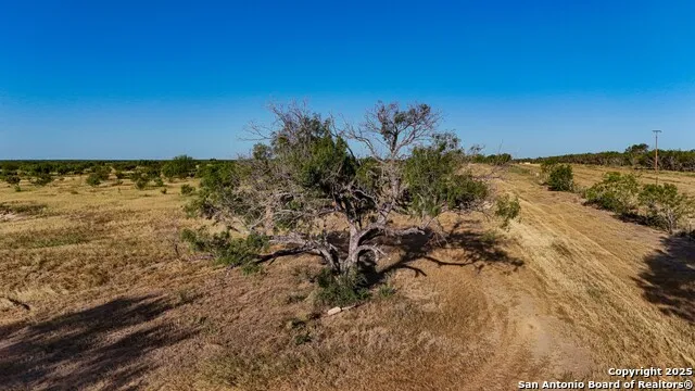 LOT 24 County Road 2500 Bigfoot, TX 78005