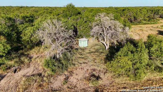 LOT 24 County Road 2500 Bigfoot, TX 78005