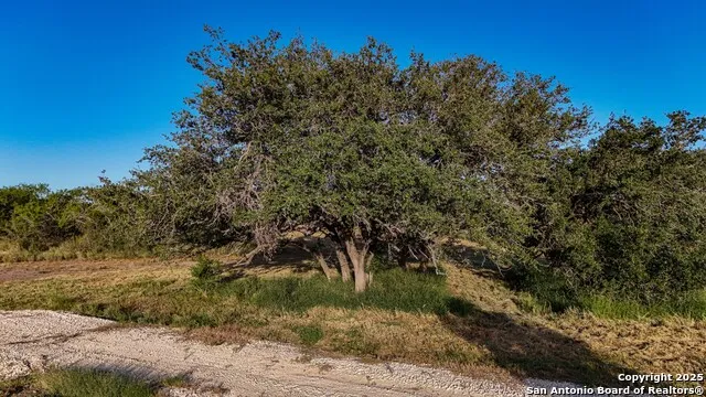 LOT 24 County Road 2500 Bigfoot, TX 78005