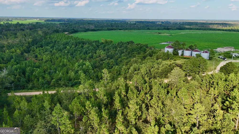 TRACT 3 Rhonda Coleman RD Hazlehurst, GA 31539