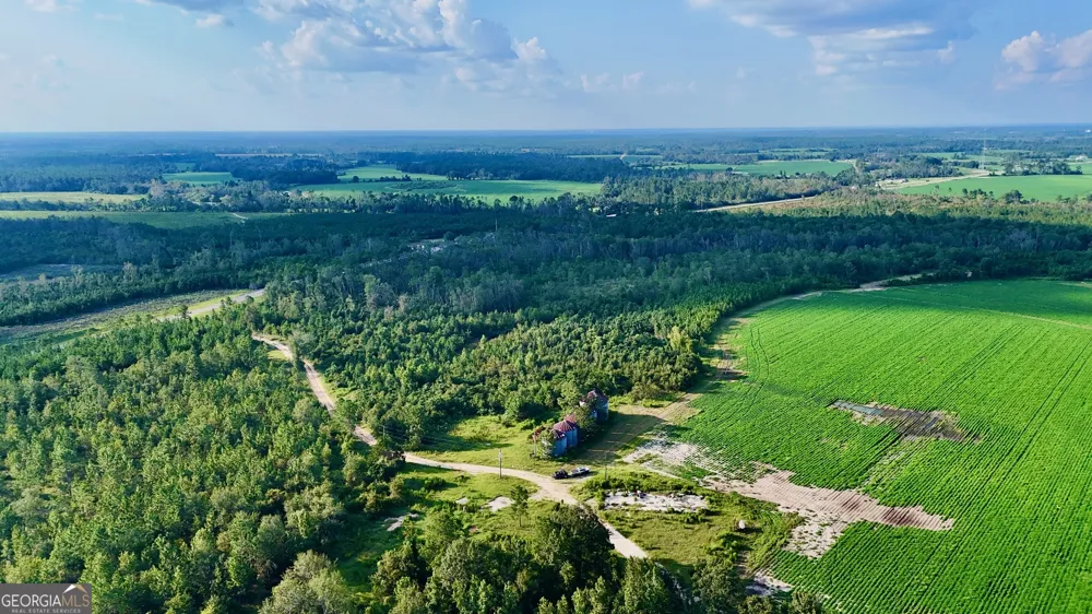 TRACT 3 Rhonda Coleman RD Hazlehurst, GA 31539