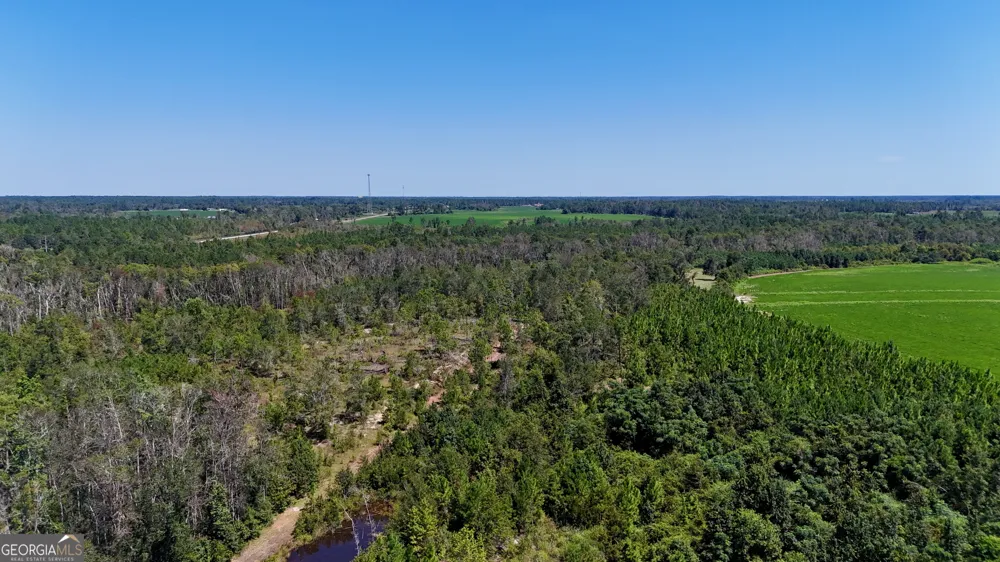 TRACT 3 Rhonda Coleman RD Hazlehurst, GA 31539