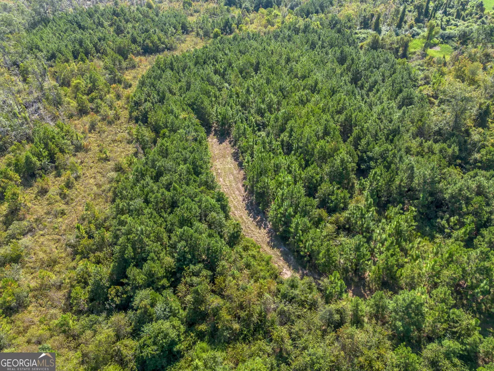 TRACT 3 Rhonda Coleman RD Hazlehurst, GA 31539