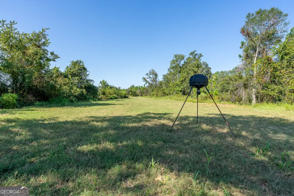 TRACT 3 Rhonda Coleman RD Hazlehurst, GA 31539