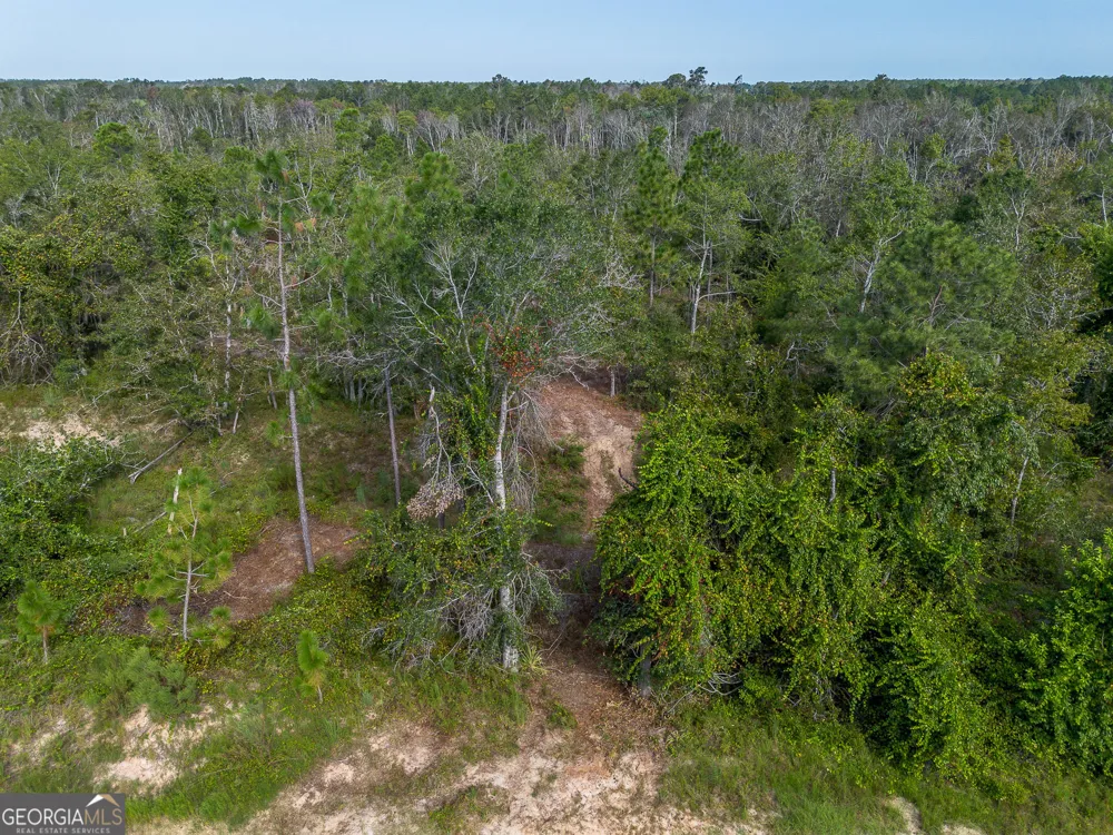 TRACT 3 Rhonda Coleman RD Hazlehurst, GA 31539