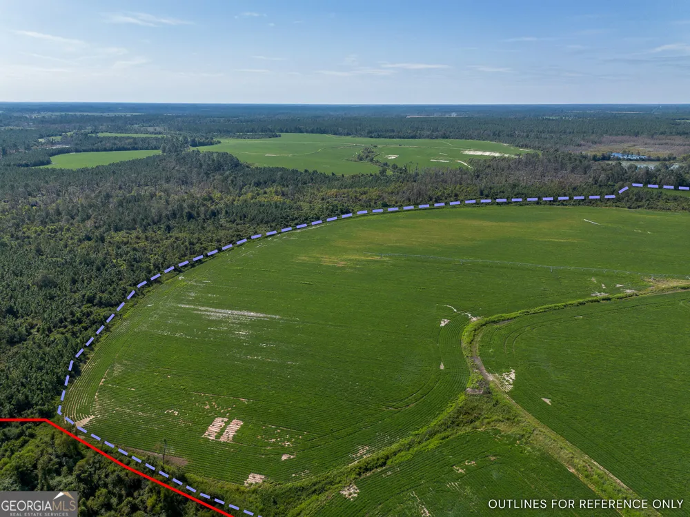 TRACT 3 Rhonda Coleman RD Hazlehurst, GA 31539