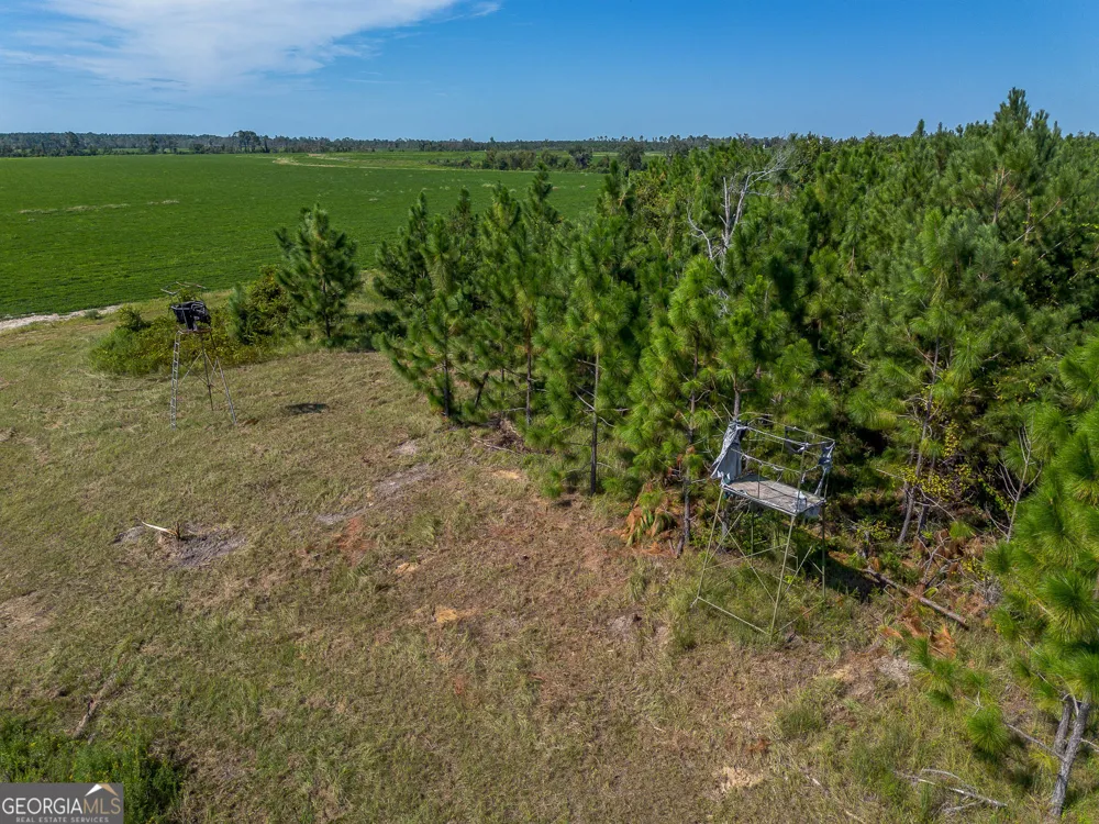 TRACT 3 Rhonda Coleman RD Hazlehurst, GA 31539