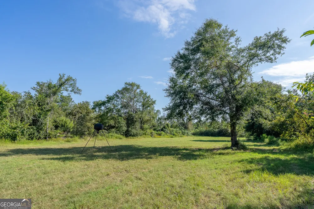 TRACT 3 Rhonda Coleman RD Hazlehurst, GA 31539