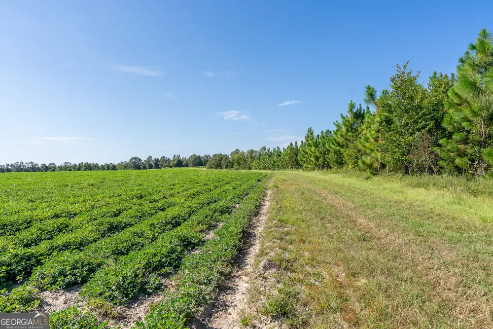 TRACT 3 Rhonda Coleman RD Hazlehurst, GA 31539