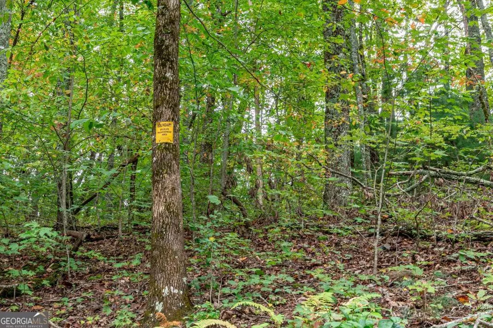 LOT 20 Buckhead HLS Hiawassee, GA 30546