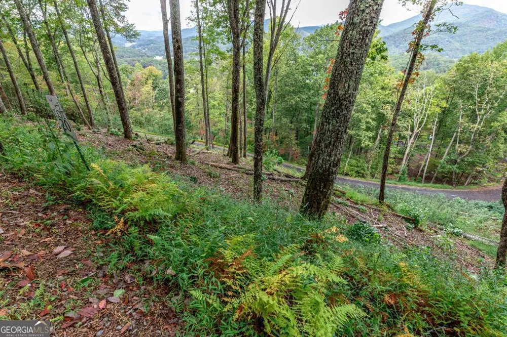 LOT 20 Buckhead HLS Hiawassee, GA 30546