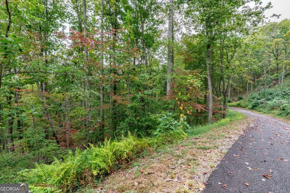 LOT 20 Buckhead HLS Hiawassee, GA 30546