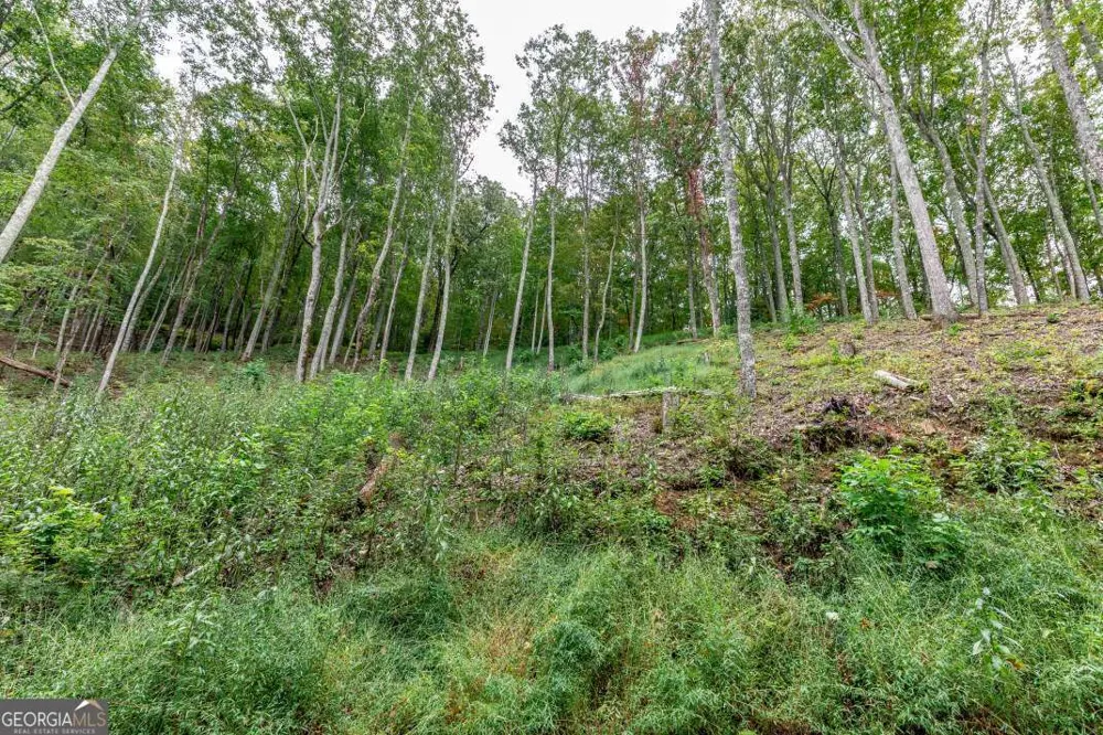 LOT 20 Buckhead HLS Hiawassee, GA 30546